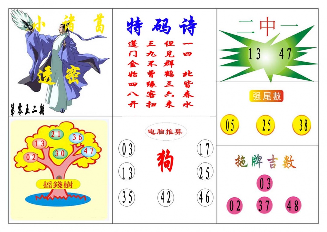 052期小诸葛[图]