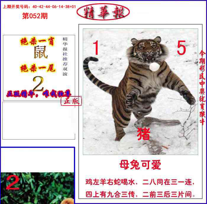052期新精华报报[图]