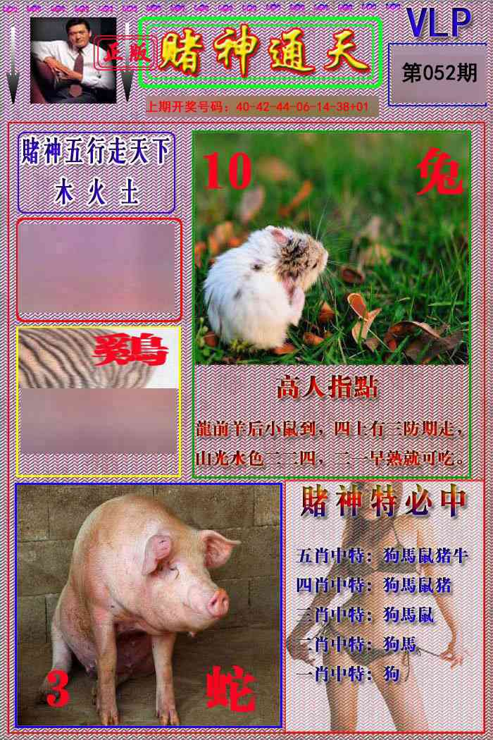052期赌神通天报[图]