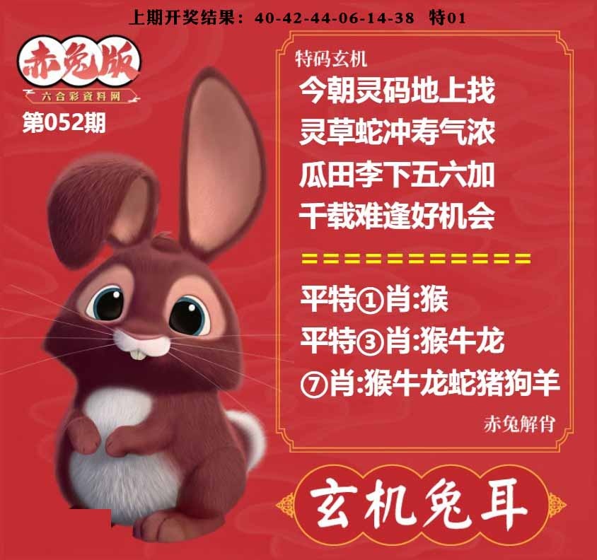 052期玄机兔耳[图]