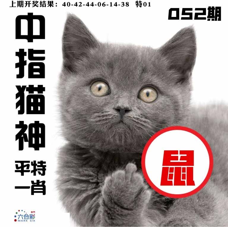 052期中指猫神[图]