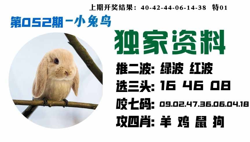 052期小兔鸟[图]